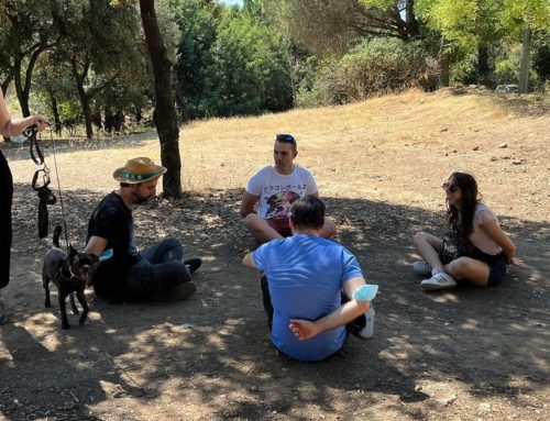 Especializarte como redactor de animales y temática «mascotas»