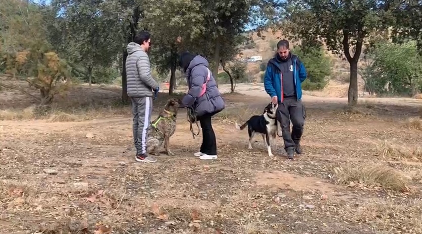 Marcas de productos para animales - Sesión #Dog Ventura - #post