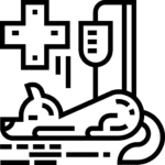 sector-veterinario-negocios