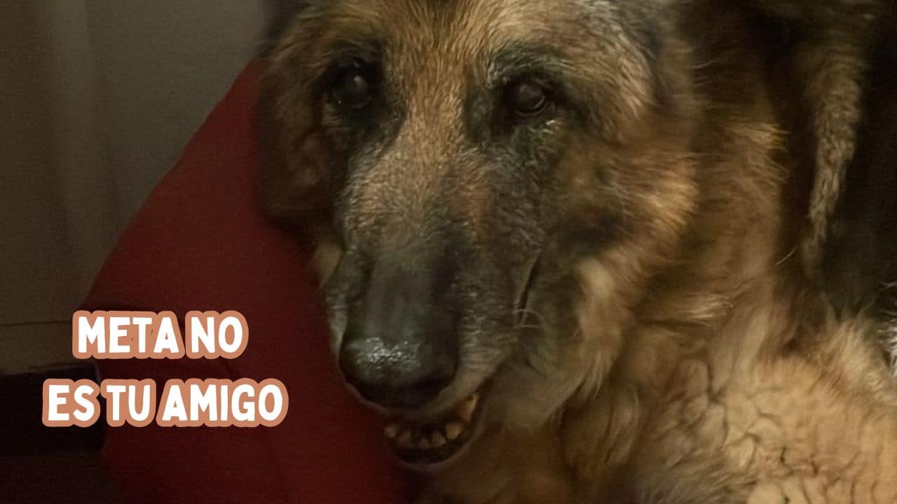 etica-aplicada-meta-no-es-tu-amigo